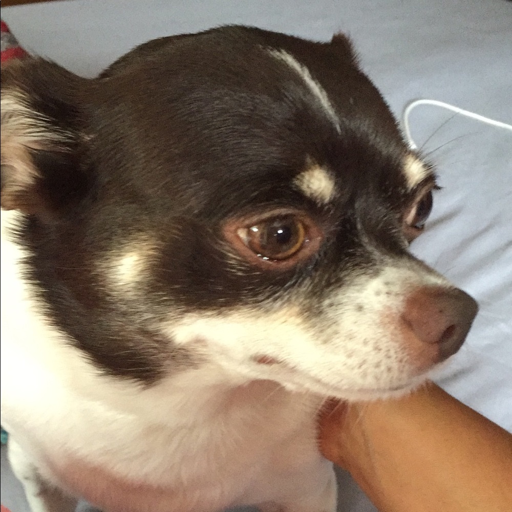 Meet your Posher, Maria